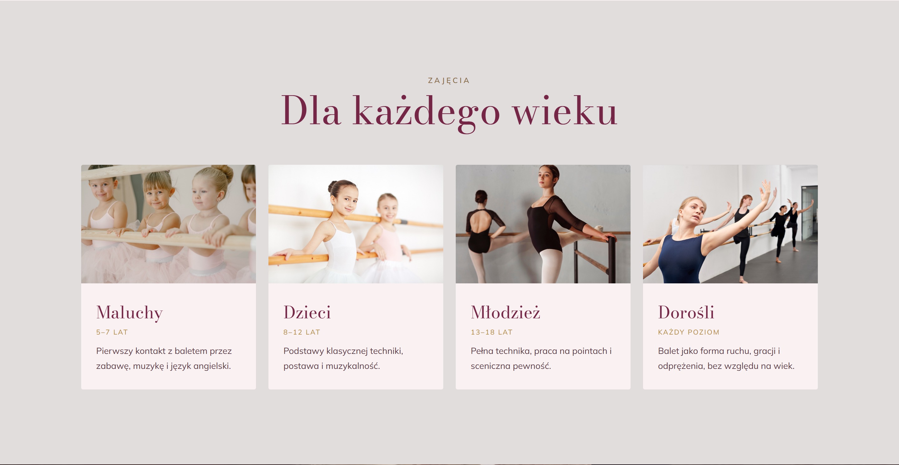 Sekcja zajęć — podział grup wg wieku